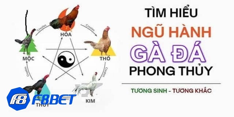 màu mạng đá gà